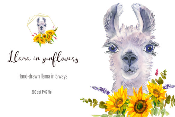 Download Watercolor Llama Clipart - Sublimation - Llama Collection