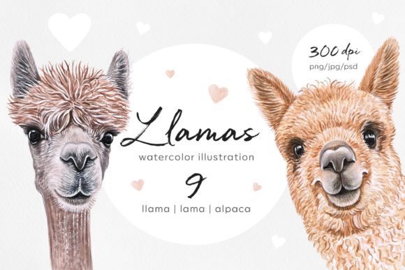 Download Watercolor Set  Llama / Lama / Alpaca. - Llama Collection