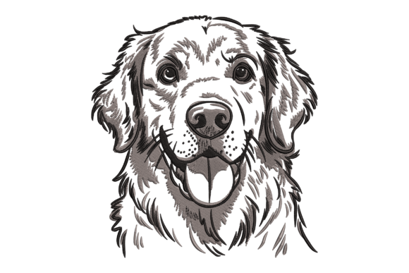 Download Golden Retriever - Premium Resources