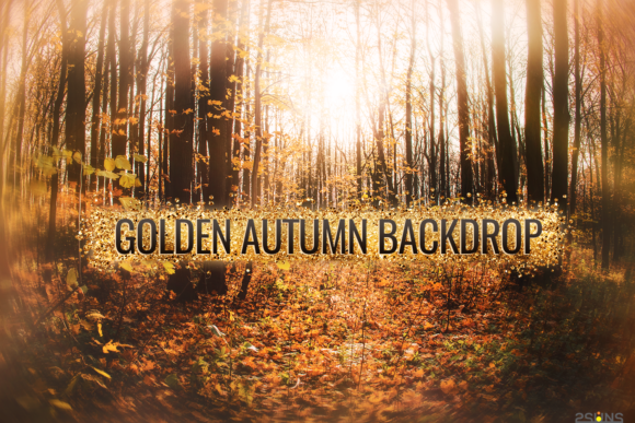 Download Autumn Golden Backdrop for Photographers - Golden Collection