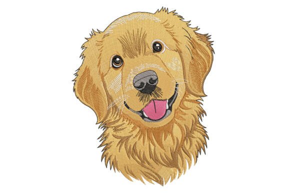 Download Golden Retriever Dog - Premium Resources